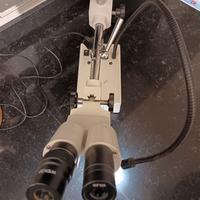Stereomicroscopio binoculare Optika ST-50Led