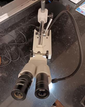 Stereomicroscopio binoculare Optika ST-50Led