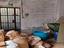 Immagine 29