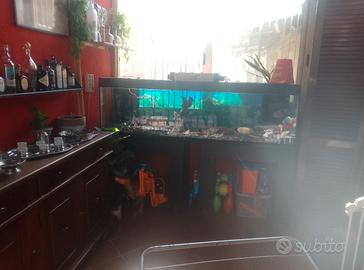 ACQUARIO 200 cm X 60cm X 60cm ( 800 LITRI CIRCA )