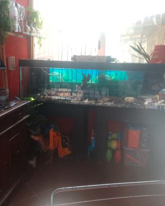ACQUARIO 200 cm X 60cm X 60cm ( 800 LITRI CIRCA )