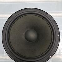 SubWoofer 300W