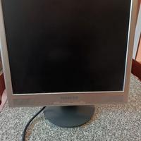 Schermo PC Packard Bell
