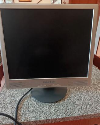 Schermo PC Packard Bell
