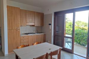 Disponibilità Immediata Vieste