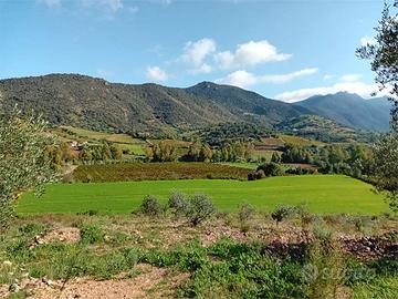 Terreno con Progetto Approvato- Jerzu