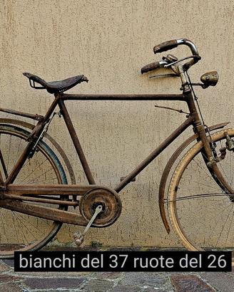 bianchi del 1937