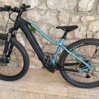 Mountainbike elettrica E-REVOX SPORT FMN BERGAMONT