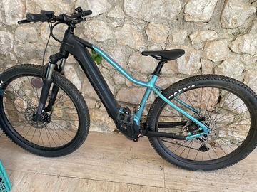 Mountainbike elettrica E-REVOX SPORT FMN BERGAMONT