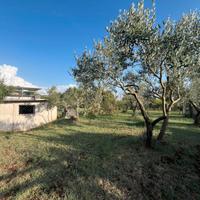 Rustico uso magazzino con terreno pianeggiante