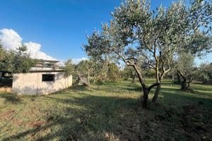 Rustico uso magazzino con terreno pianeggiante