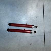 Ammortizzatori Astore