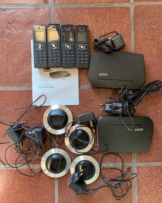 SNOM M25 e M300, CISCO SG-250 10P