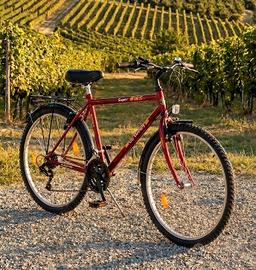 Bicicletta da uomo/ragazzo