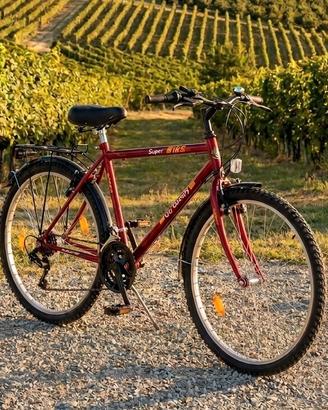 Bicicletta da uomo/ragazzo