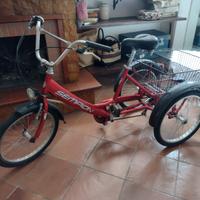  bicicletta a tre ruote 