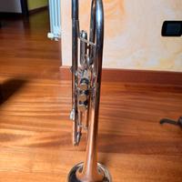 Tromba Bb Fdes simphony BBG