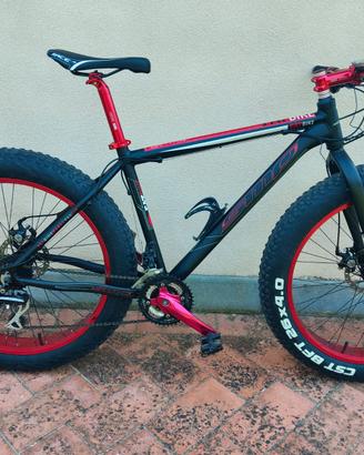 Fat bike