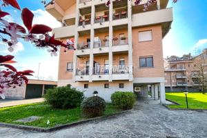 AMPIO 3 LOCALI CON DOPPI SERVIZI, TERRAZZO, BOX AU