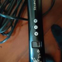 Arricciacapelli Remington 