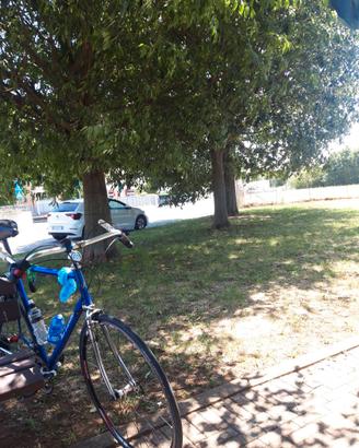bici da corsa stradalizzata