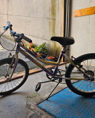 Bicicletta bambino/a