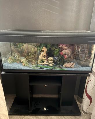 Acquario
