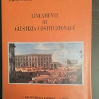 Scatolone libri diritto giurisprudenza