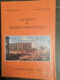 Scatolone libri diritto giurisprudenza