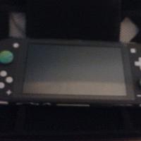Nintendo Switch Lite Grigia