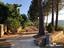 Immagine 25
