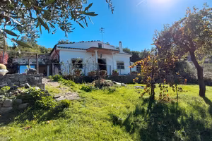 Villetta indipendente Mq 100 oltre vigneto