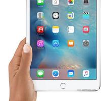 Ipad Mini 4 - 64 Gb cellular