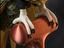 Immagine 3