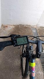 bici padalata assistita 