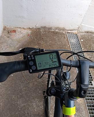bici padalata assistita 