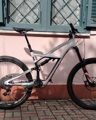 bici enduro