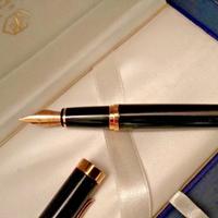 Penna stilografica waterman paris nuova originale