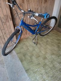 Bicicletta Galant