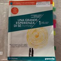 Libro di letteratura italiana