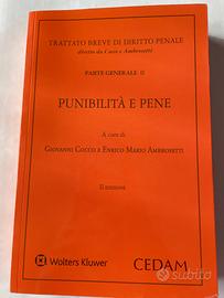 Trattato breve di diritto penale