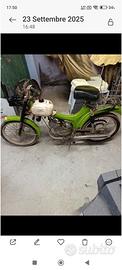 moto  guzzi dingo d'epoca 50 cc