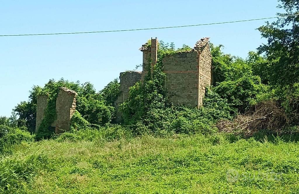 Rustico / Casale di 250 m² con più di 5 locali e b - Vista 4