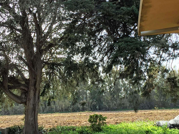 Terreno ed edificio nuovo a norma