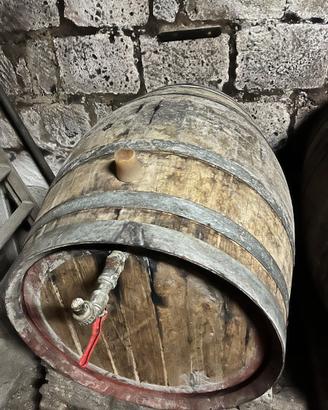 Botte in rovere