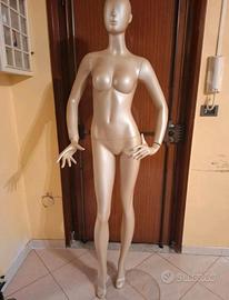 Manichino  prezzo normale 250