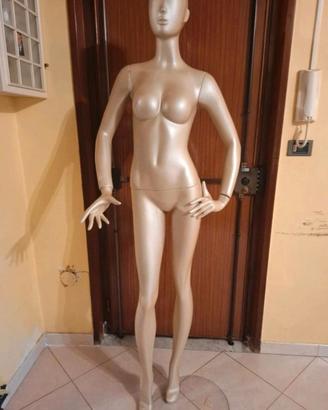 Manichino  prezzo normale 250