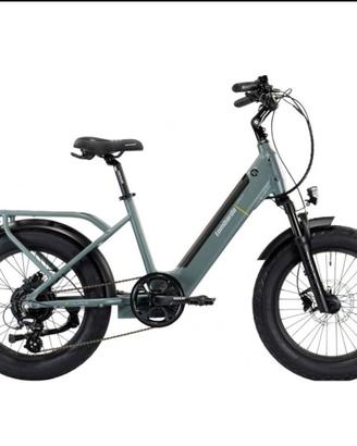 Bici elettrica