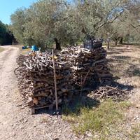 legna di olivo stagionata 10 mesi