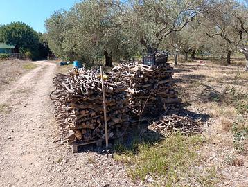 legna di olivo stagionata 10 mesi